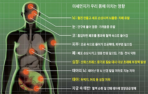 블루웰 이미지