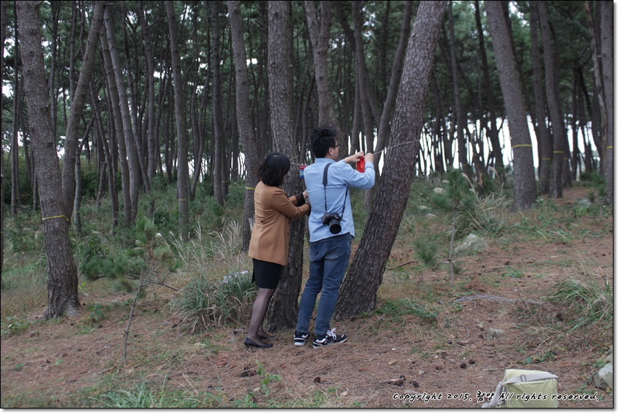 늘봄스튜디오 이미지