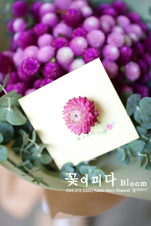꽃피다Bloom 이미지