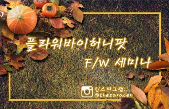 미인창조 이미지