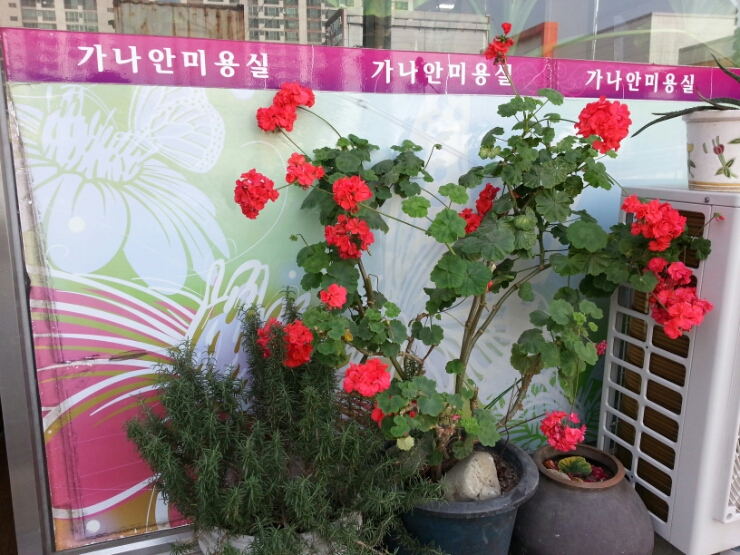 가나안미용실 이미지
