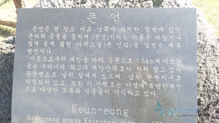 한비숲 이미지