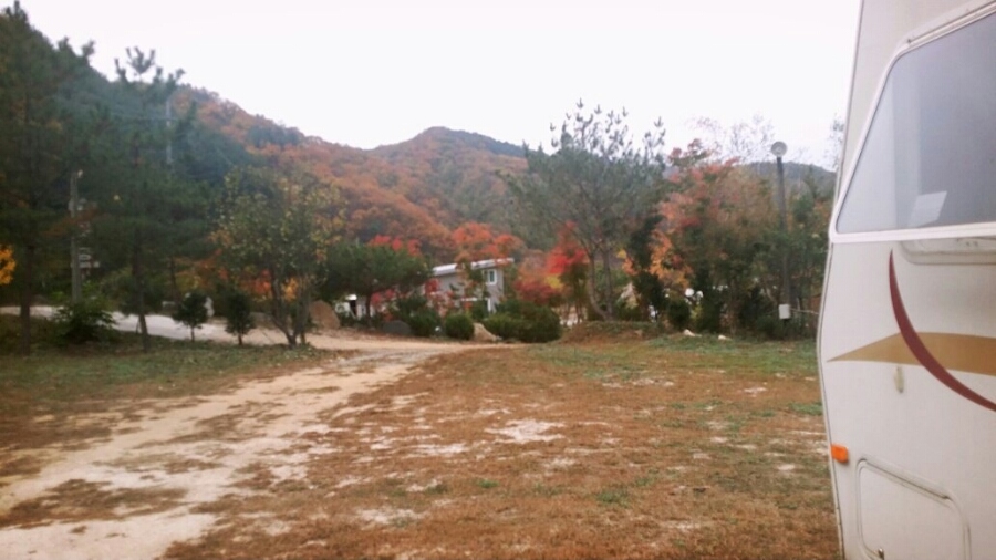 자유인의 카라반 이미지