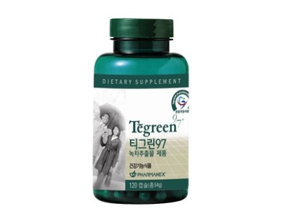 티그린 이미지