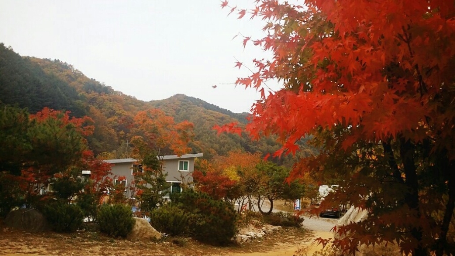 자유인의 카라반 이미지