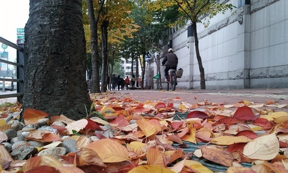 이편한밥상 이미지