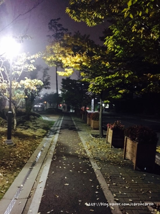 로앤씨 이미지