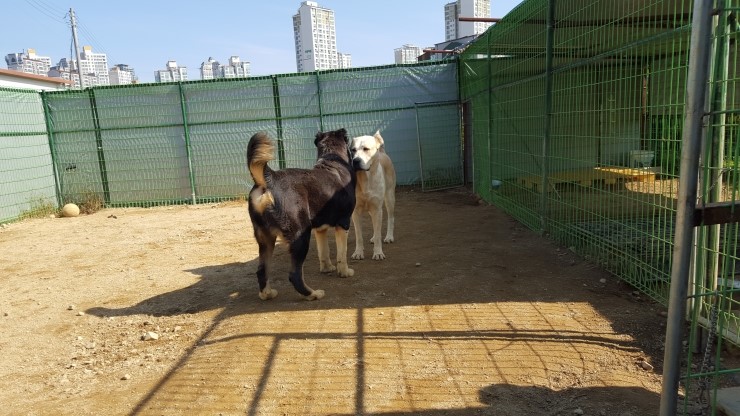에임 이미지