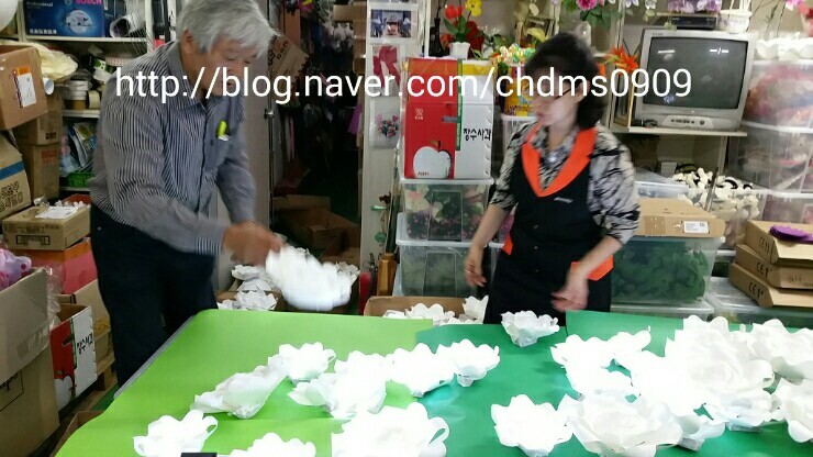 센스플라워 이미지