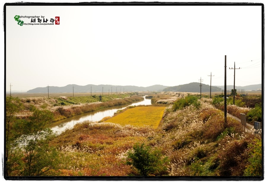 서천MTB 이미지