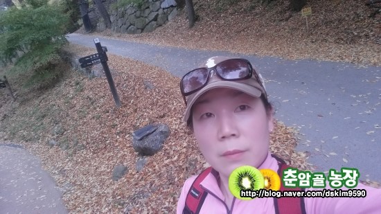 합천가을골 이미지
