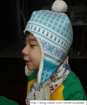 돌콩새 이미지