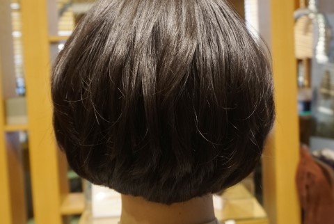 포레스타스프링 이미지