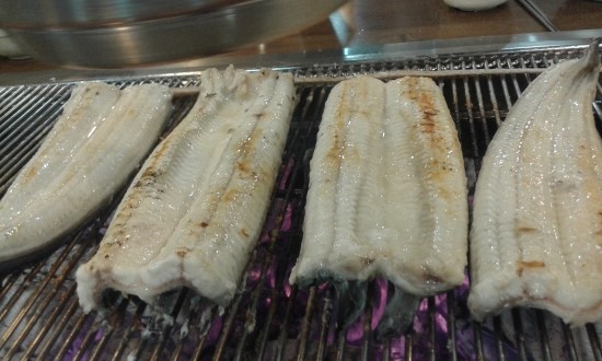 셀프장어 이미지