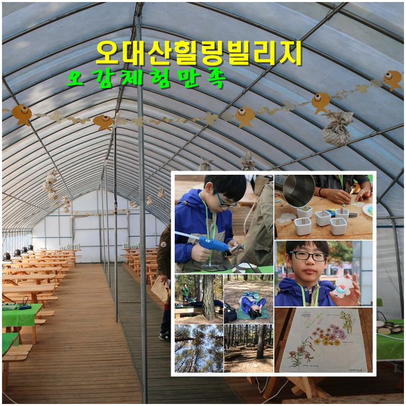 오대산힐링빌리지 이미지