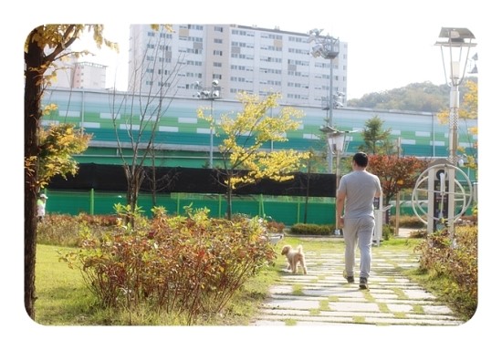 동호담배 이미지
