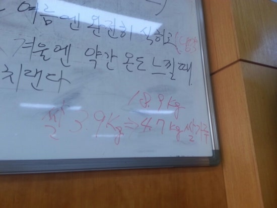 동양주 이미지