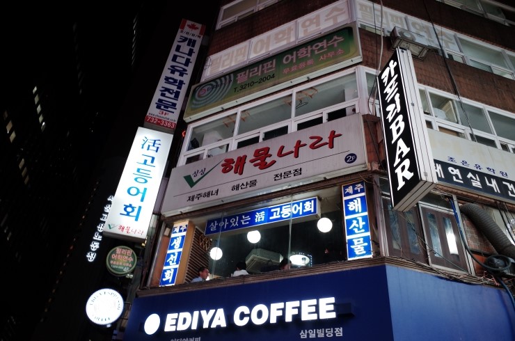 싱싱나라 이미지