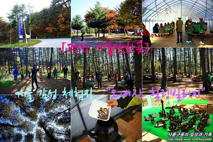 오대산힐링빌리지 이미지