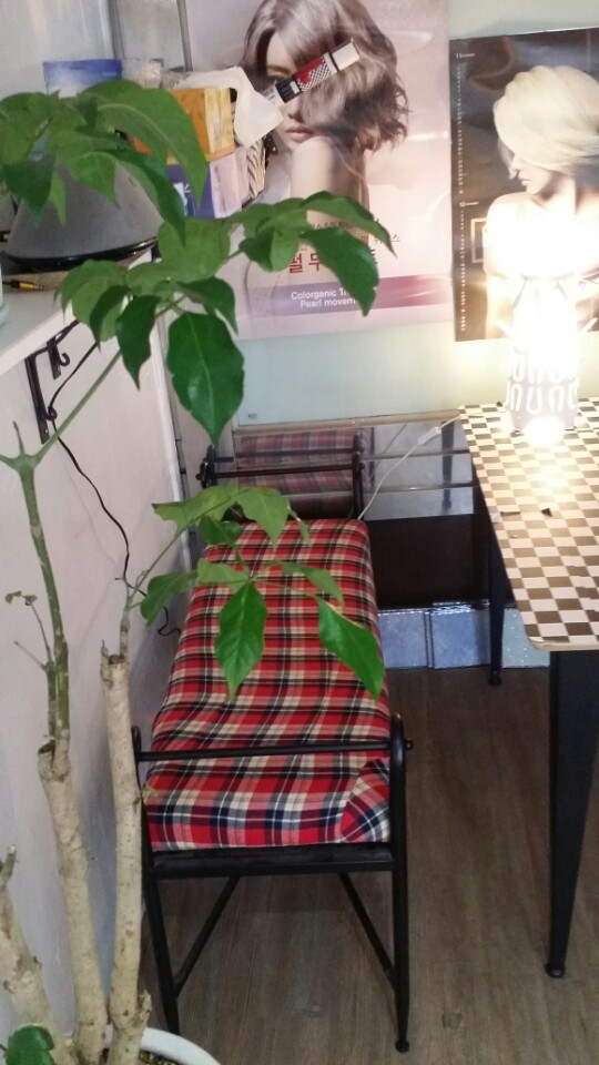 씨스터즈DIY 이미지