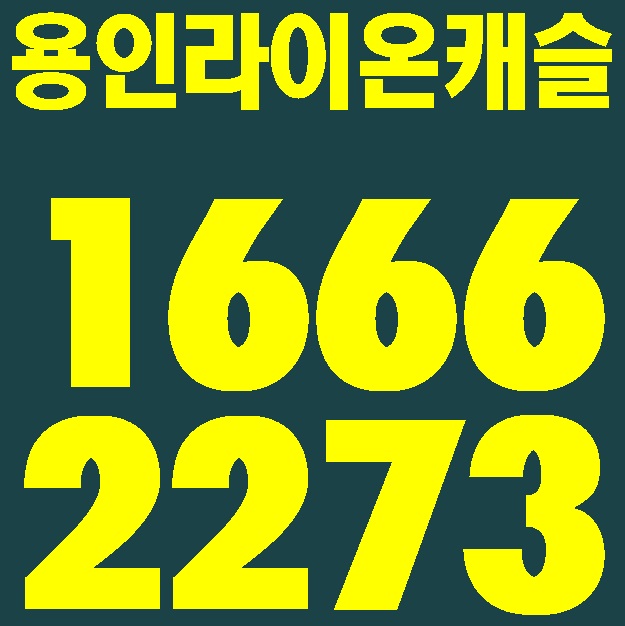 라이온캐슬 이미지