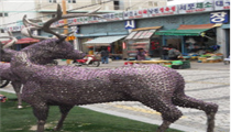 카몬 이미지