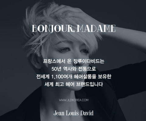 다비드헤어 이미지