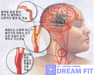 드림핏 이미지