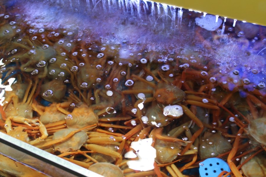 광동수산 이미지