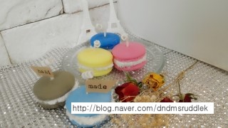 돌콩새 이미지