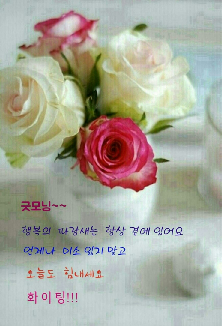 정원수산 이미지