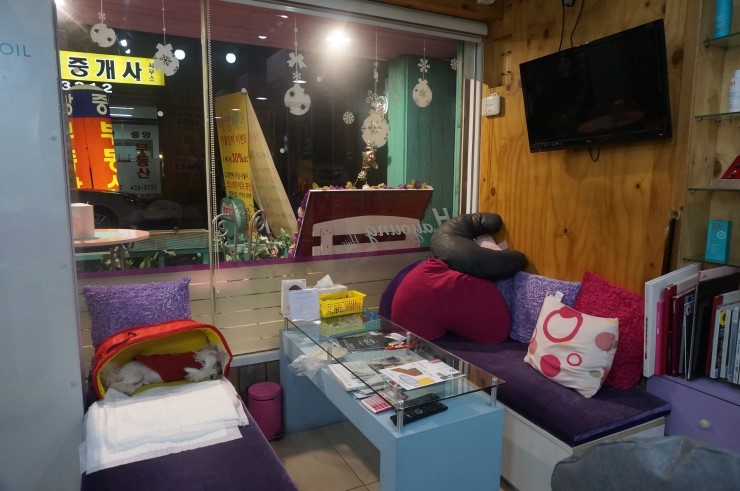 동화카센타 이미지