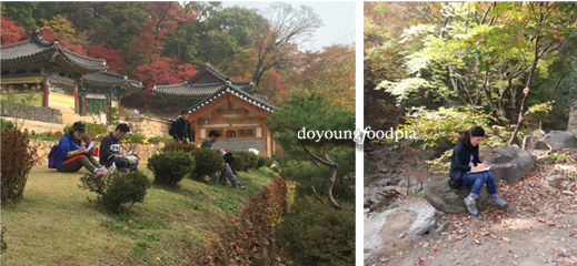 도영푸드피아 이미지
