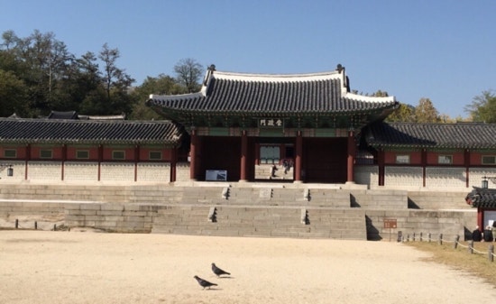 도서출판코스모스 이미지