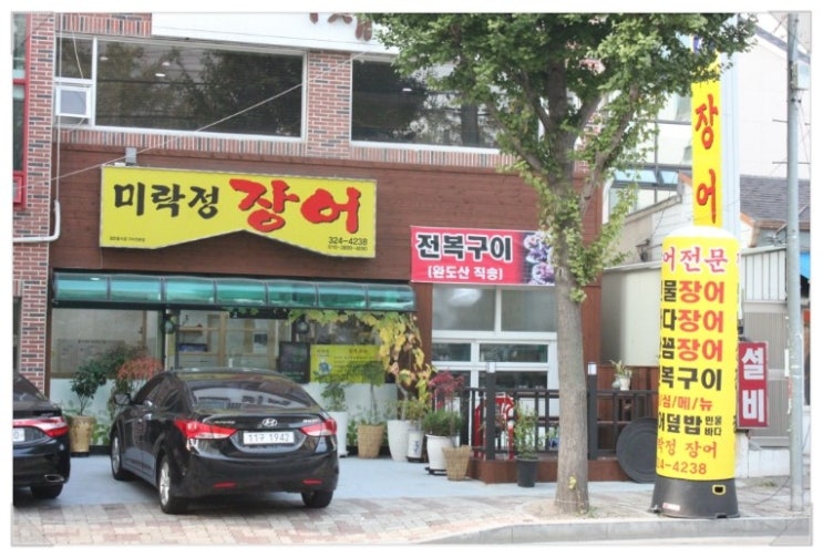 미락정장어 이미지
