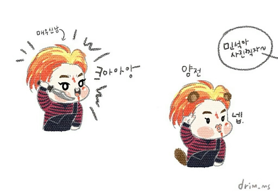 슈키 이미지