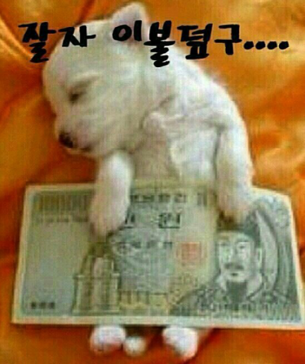 오늘도이불 이미지