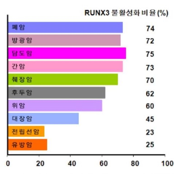 러넥스 이미지