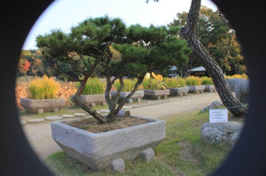 너른마당1 이미지
