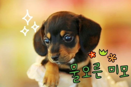 오케이판매업 이미지