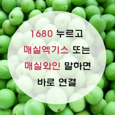 법인하동와인 이미지