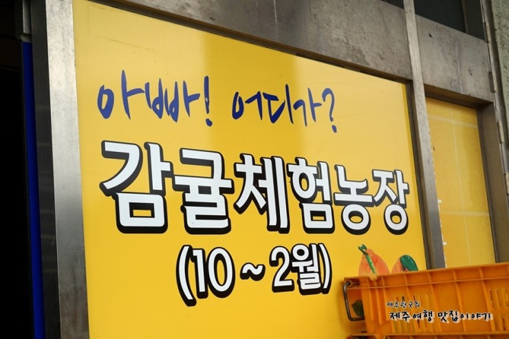 백록담제주특산품 이미지