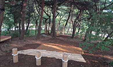 트리마켓 이미지