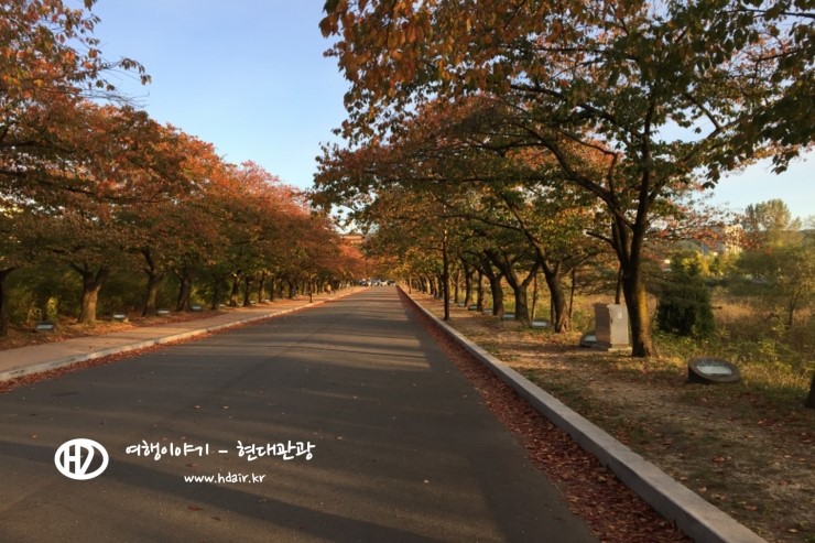 경주현대여행사 이미지