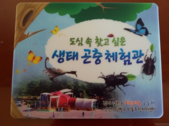 와동주민센터 옆 이미지