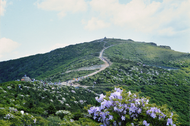 지리산학고을펜션 이미지