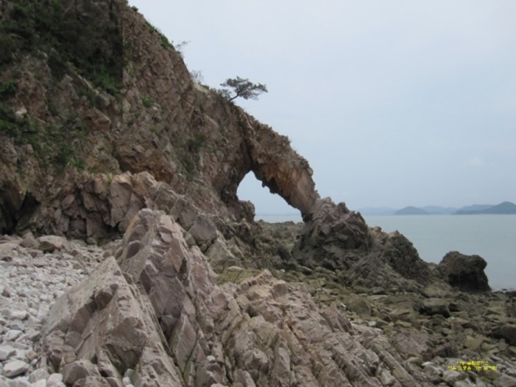 황금산 한우 이미지