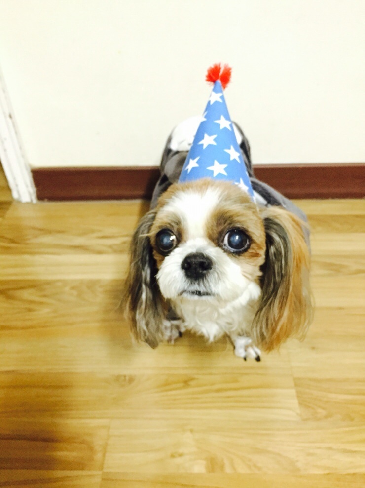 브라이트비전 이미지