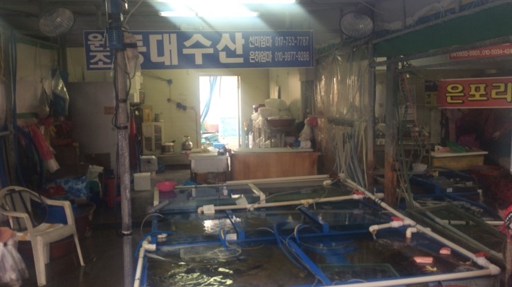 원조등대수산 이미지