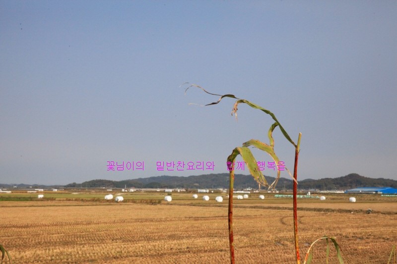 (유)초록나라 이미지